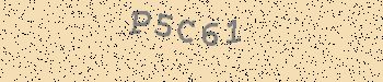 An error has occurred while getting captcha image
