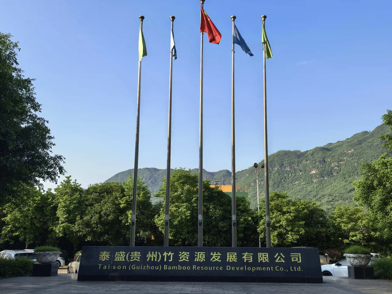 Guizhou Taison
