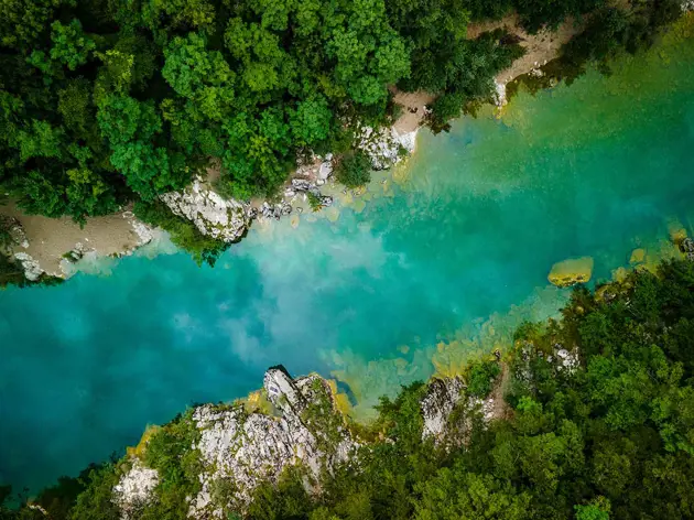 Discover our Climate Transition Plan