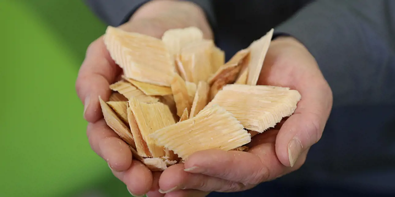 Chips at the hands