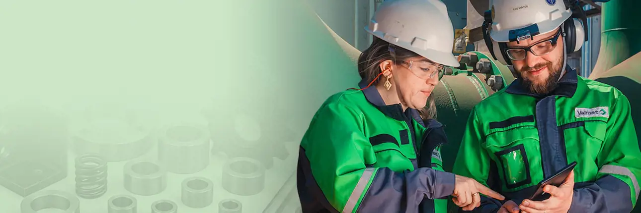 Two Valmet spare parts experts 