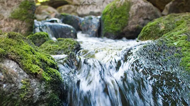 A close-up view of clear creek water flowing over rocks and pebbles.
